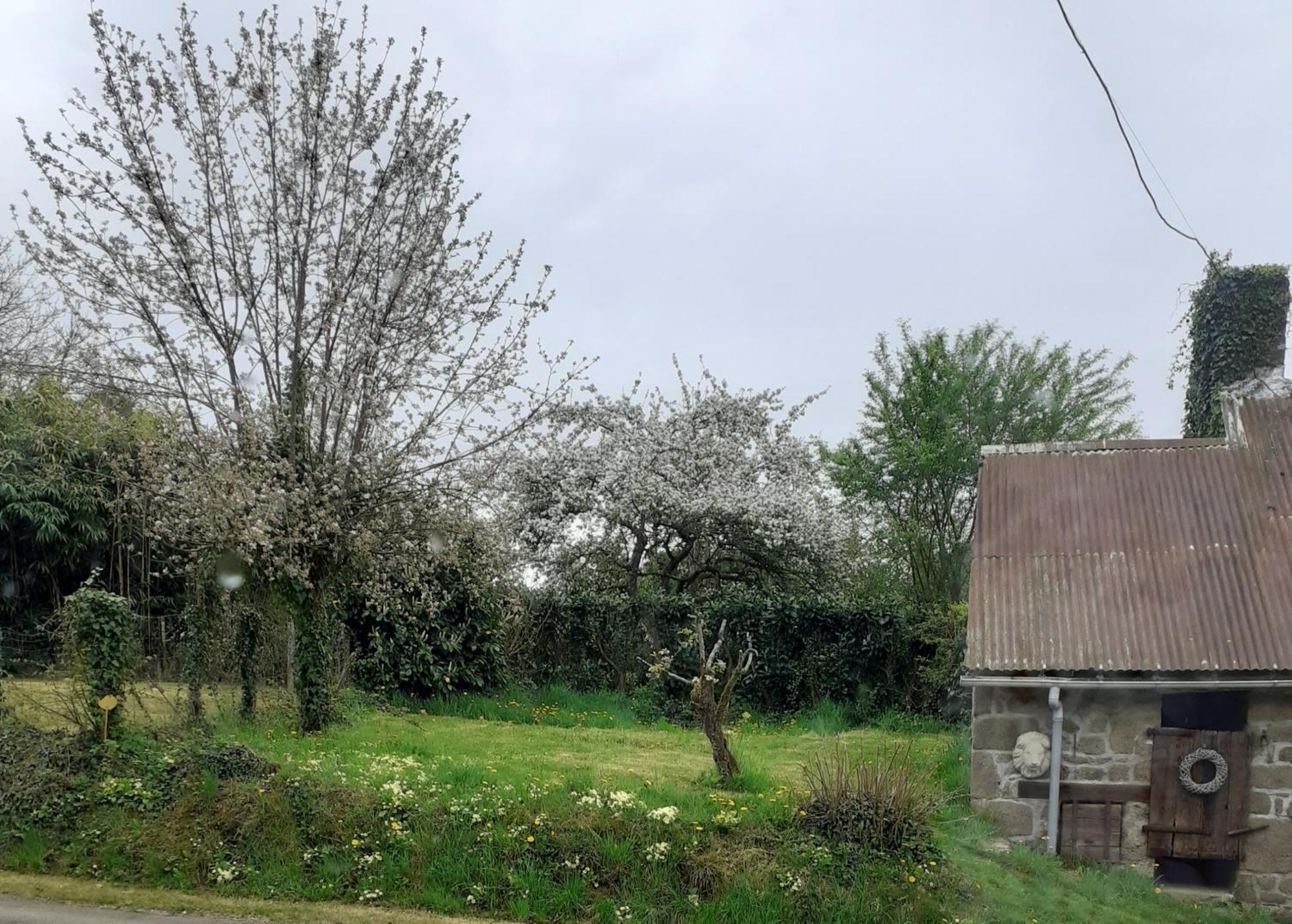 Wildberry cottage Orgères-la-Roche Exteriör bild